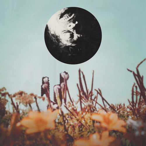 Blue Footed Bobby / Split mit Suns of Thyme